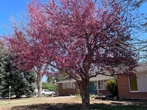 5860 Wood Sorrel Dr, Littleton, CO 80123