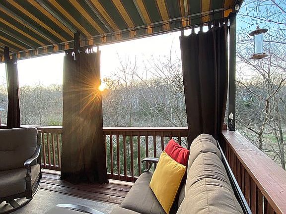 Watch the hummingbirds