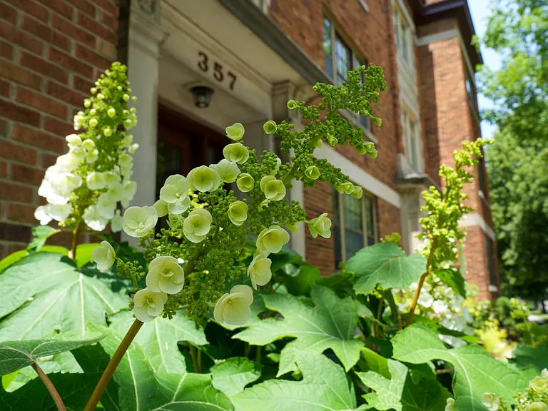 Madison Apartment Homes — Photo 8