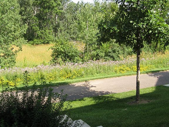 view out the front door
