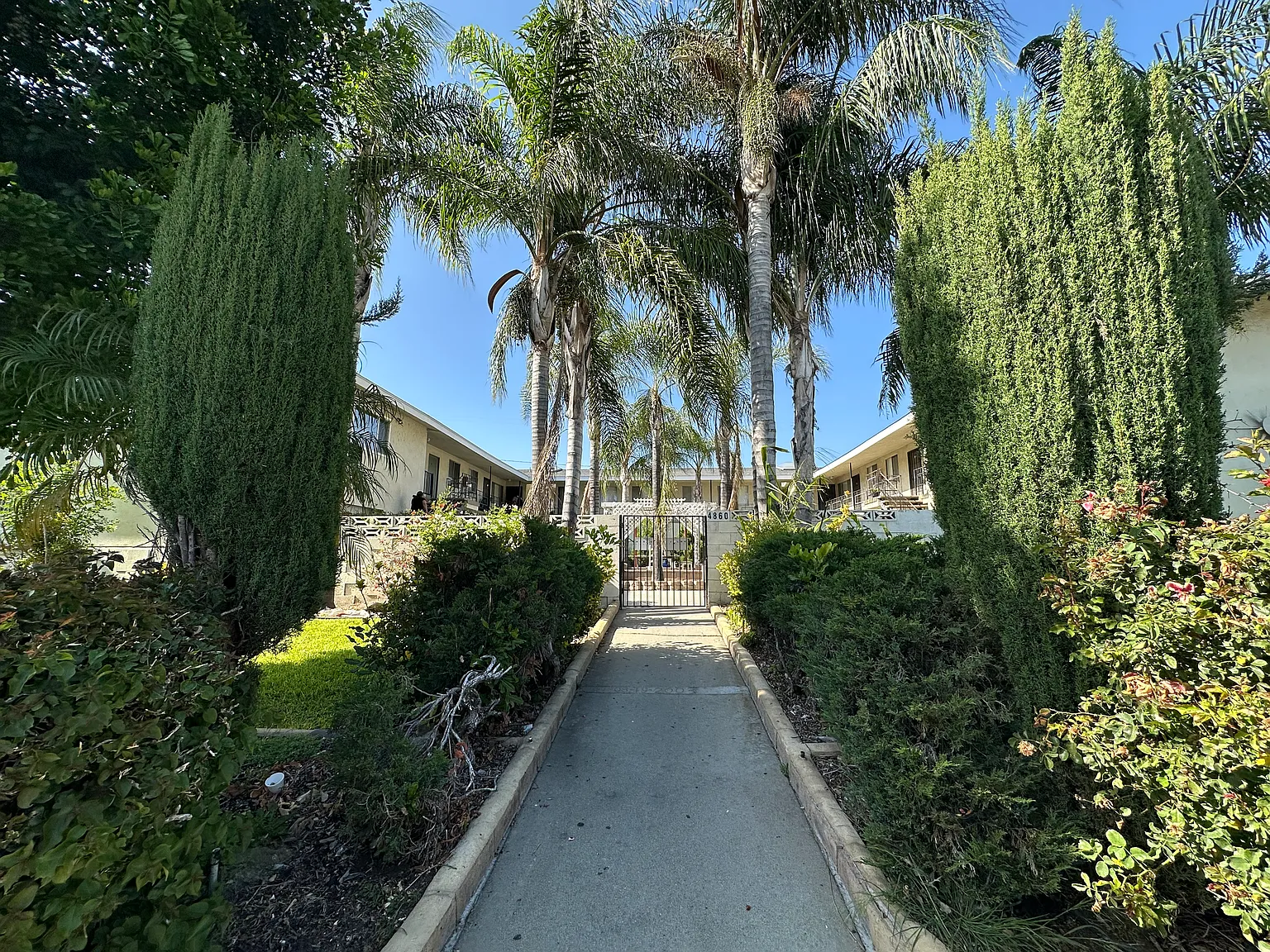 1 bed, 650 sqft, $1,595 — Photo 2