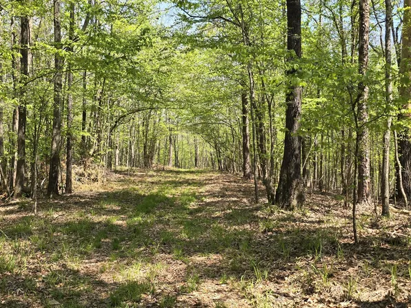 State Highway 17, Coila, MS 38923