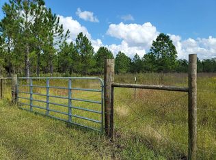 1645 Meadowville Rd, Pierson, FL 32180