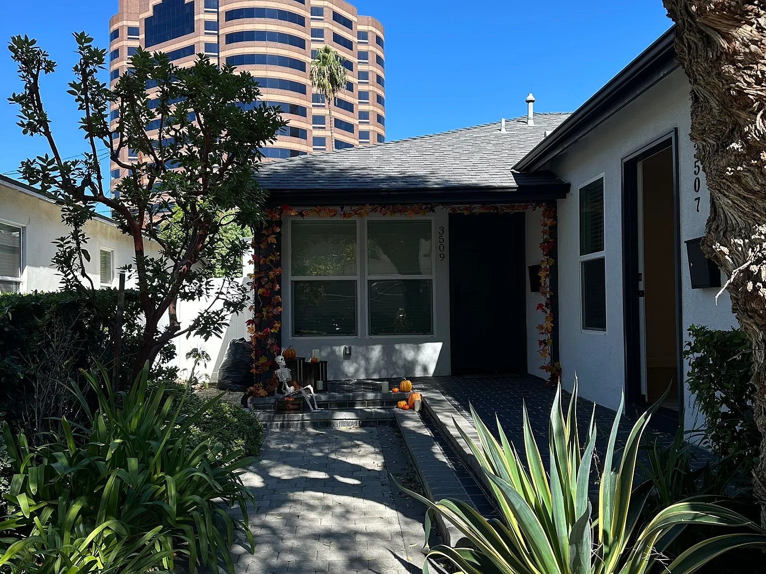 2 bed, $3,300 — Photo 2