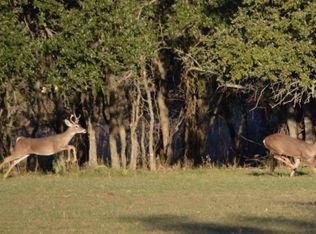 1229 Durst Maurer Rd, Fredericksburg, TX 78624