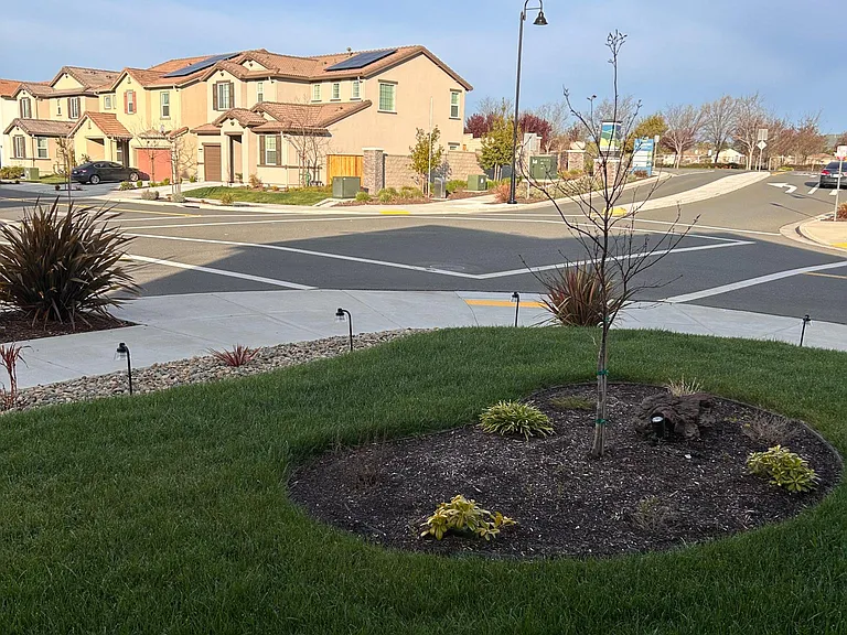 1393 Jamboree Dr — Photo 3