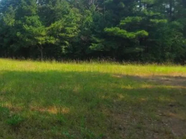 2221 Old Bunn Rd Lot 1, Zebulon, NC 27597