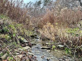 Feathers Creek Rd Lot 24, Belmont, NY 14813