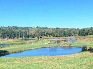 25 Hidden Valley Rd, Hankins, NY 12741