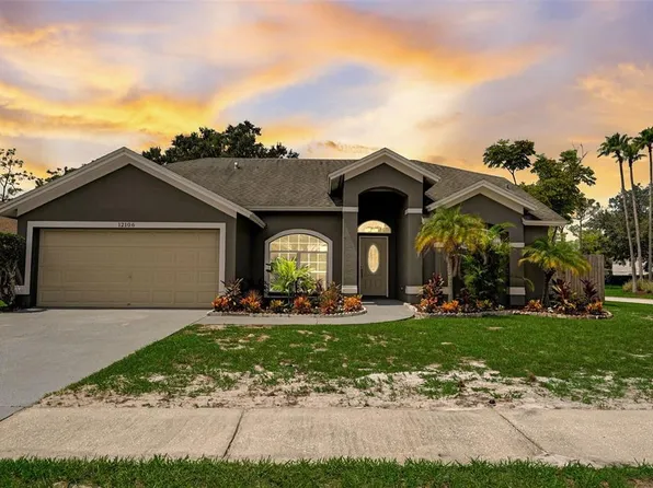12106 Shady Forest Dr, Riverview, FL 33569
