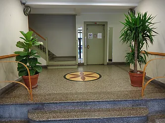 Rented by The Coop Connection LLC