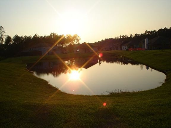 Pond