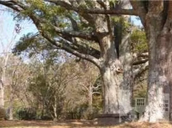 3903 Carolina Beach Rd, Wilmington, NC 28412