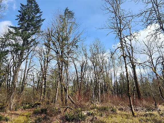 5th image of 285 Justus Rd