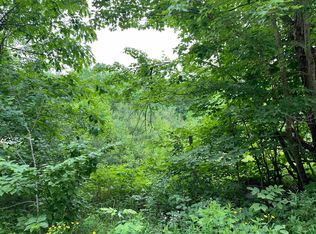 367 Welton Falls Rd, Alexandria, NH 03222