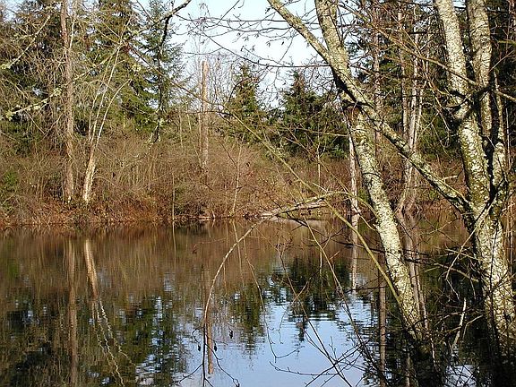 Lake view from living room
