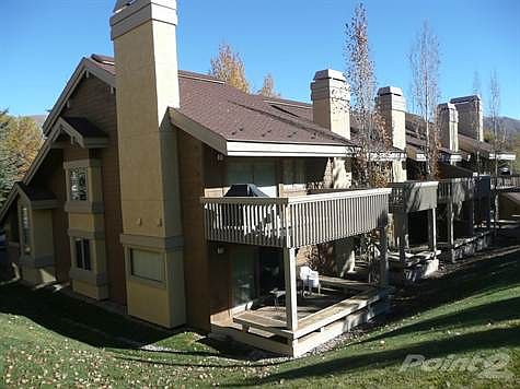 Back Exterior