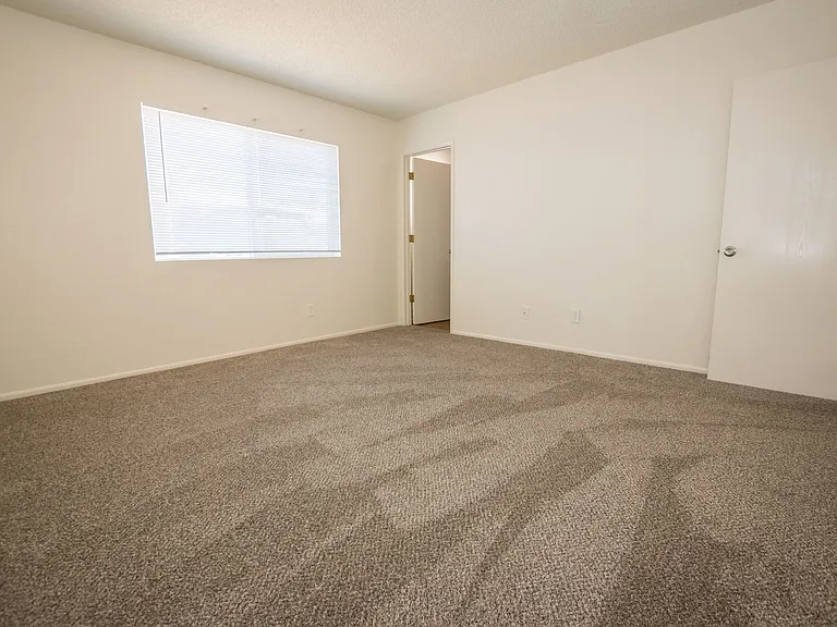 100 Terra Dr — Photo 12