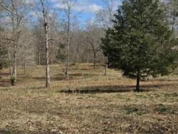 4th image of 486 Walthall Rd