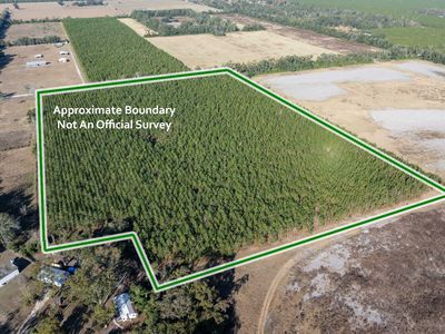Tbd 181st Rd, Live Oak, FL, 32060