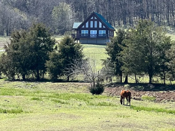 3165 Browning Branch Rd, Bethpage, TN 37022