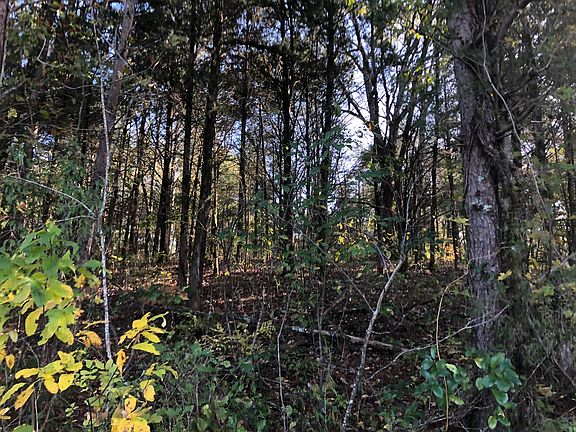 4th image of 136 Noya Ln Lot 19