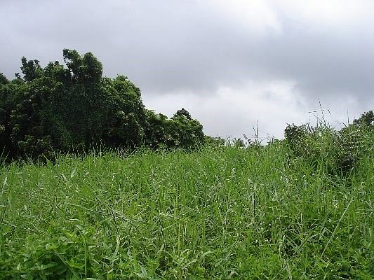 1st image of 386 Makani Cir Lot 40