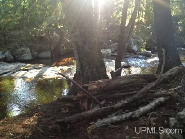 Tbd Burma Road Slate Riv, Lanse, MI 49946