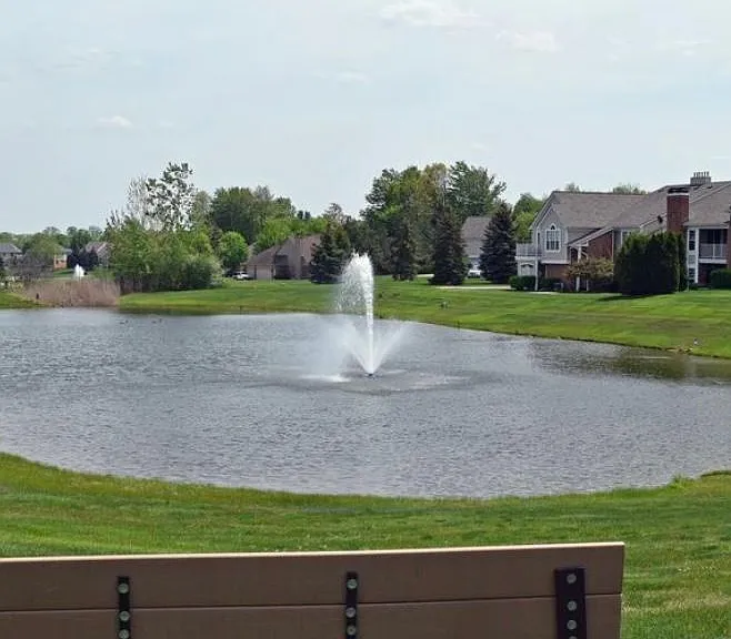 Ponds with fountains