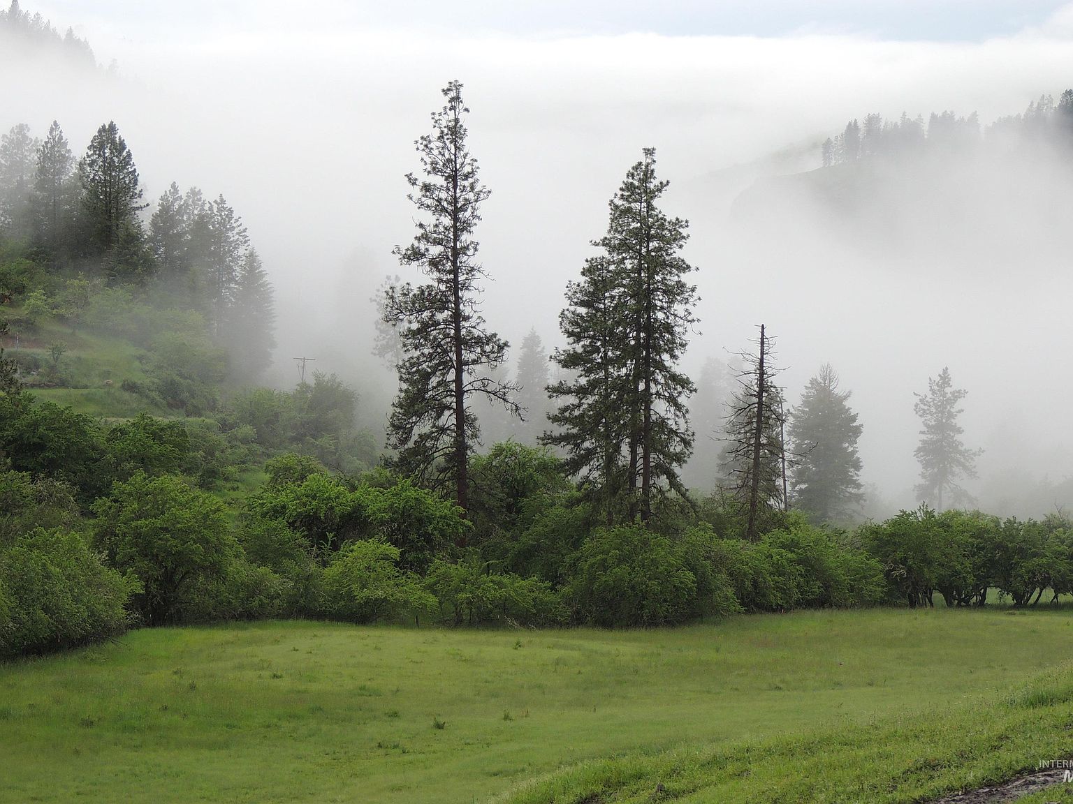 Tbd Clearwater Dr, Harpster, ID 83552 MLS 98872988 Zillow
