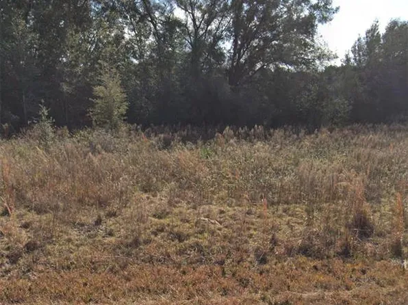 33036 Headstone St #3, Webster, FL 33597