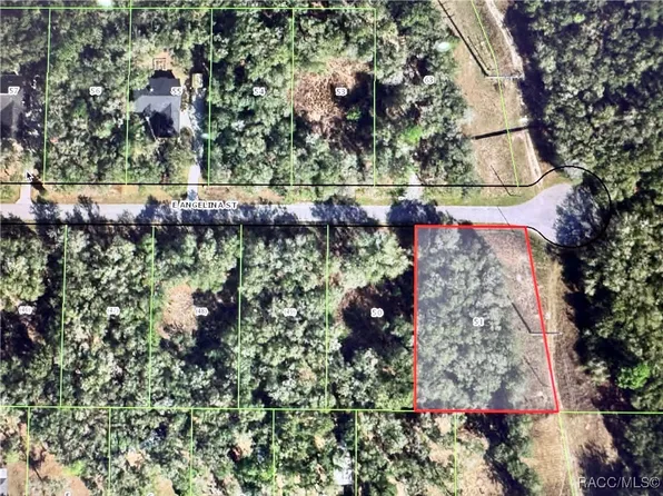 3078 E Angelina St, Inverness, FL 34453