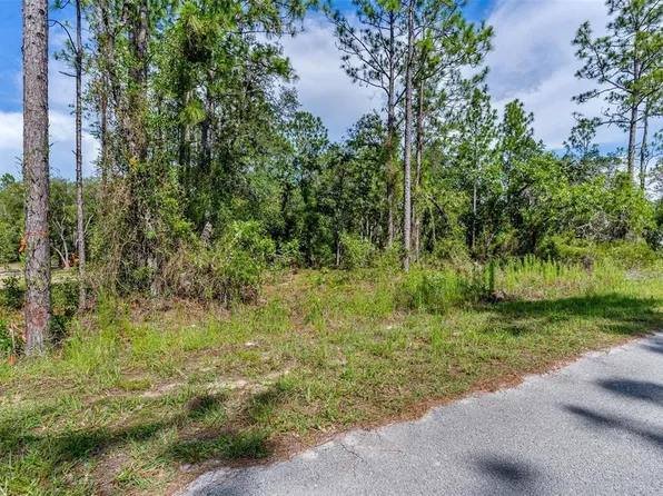 SW Viola Ct Lot 22, Dunnellon, FL 34431