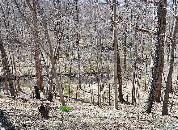 Meandering stream
