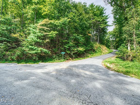 3rd image of LOT 10 Stepping Stone Dr