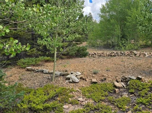 Lot 6804 Ryland Road LOT 6804, San Luis, CO 81152
