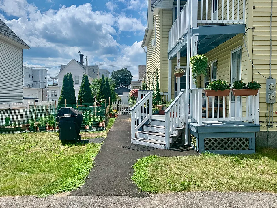 Yard in the summer time.