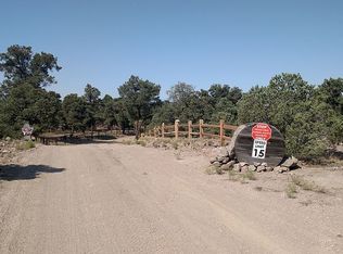 20908 McHugh Rd-mount, Pioche, NV 89043