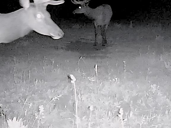 4th image of Tbd Dave Wood Rd