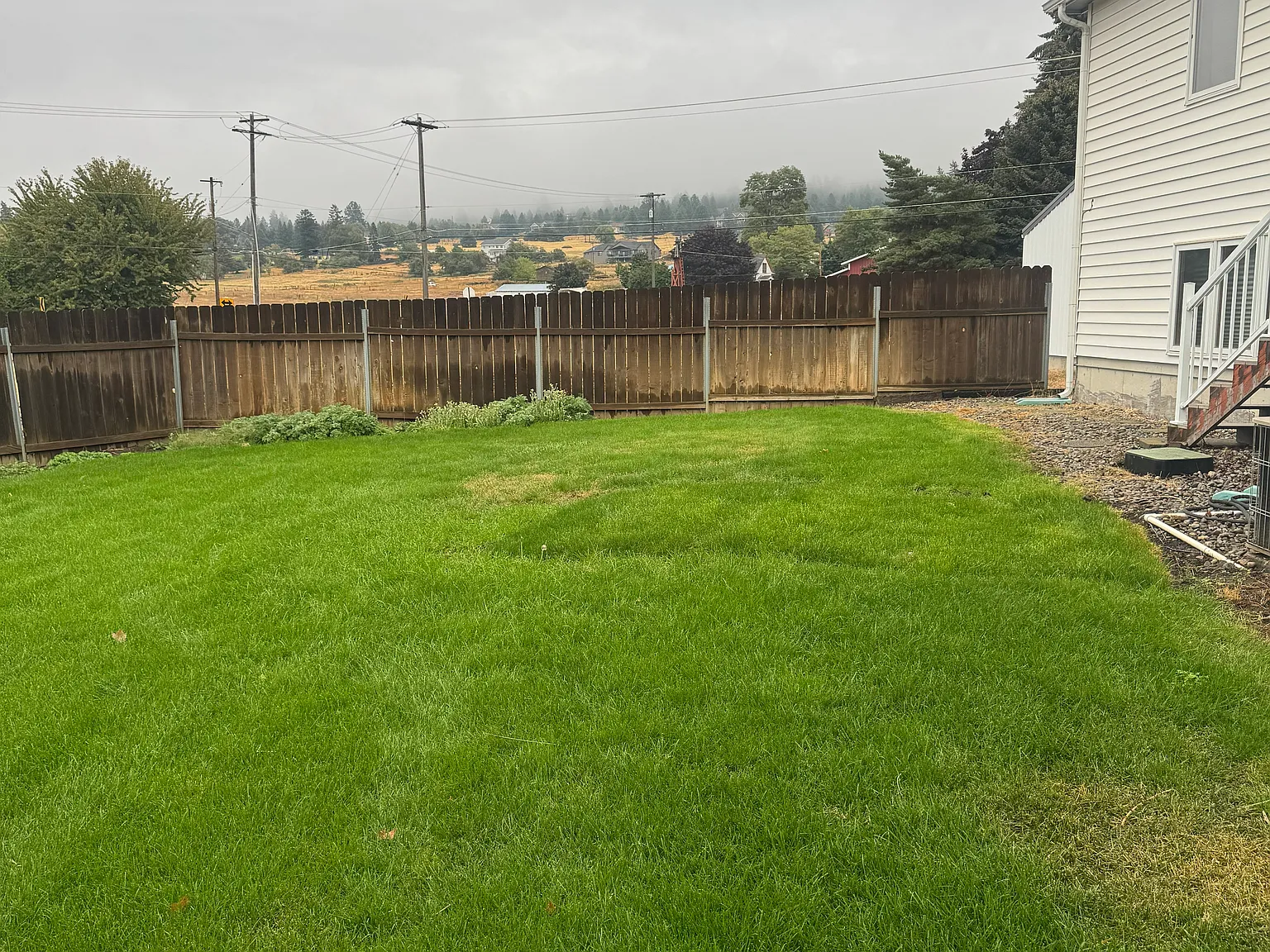 4 bed, 1354 sqft, $2,800 — Photo 3