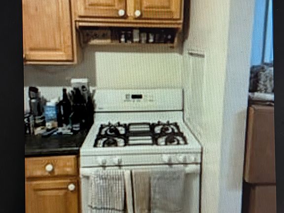 5th image of 15 Laurel St #1