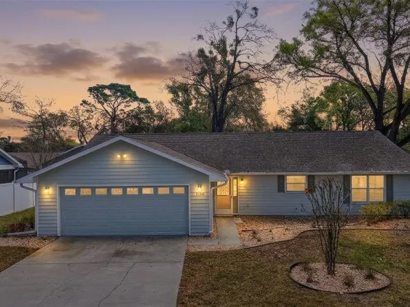 1120 Gardner Ln, Mount Dora, FL 32757