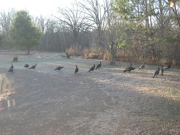 3rd image of 154 Poniu Cir