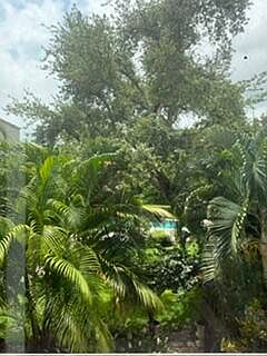 2nd image of 501 SW 11th #211