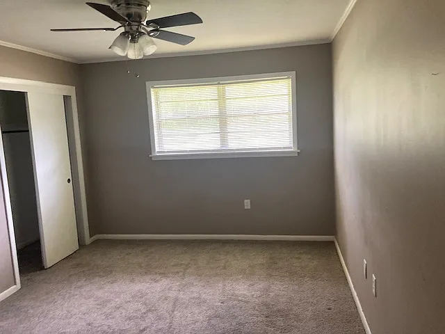 107 Green Hill Dr — Photo 5