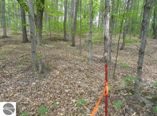 10000 N Partridge Rd NE, Mancelona, MI 49659