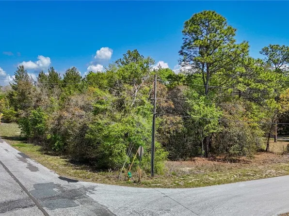 1015 E Cleveland St, Hernando, FL 34442