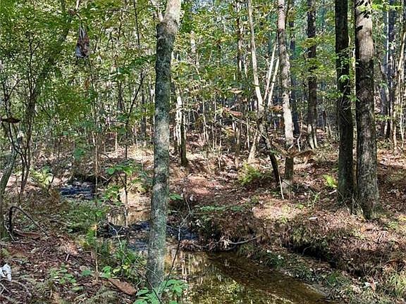 3rd image of 17 Lone Bear Path #17
