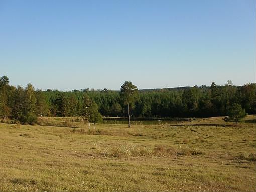 5th image of 91 County Road 3125