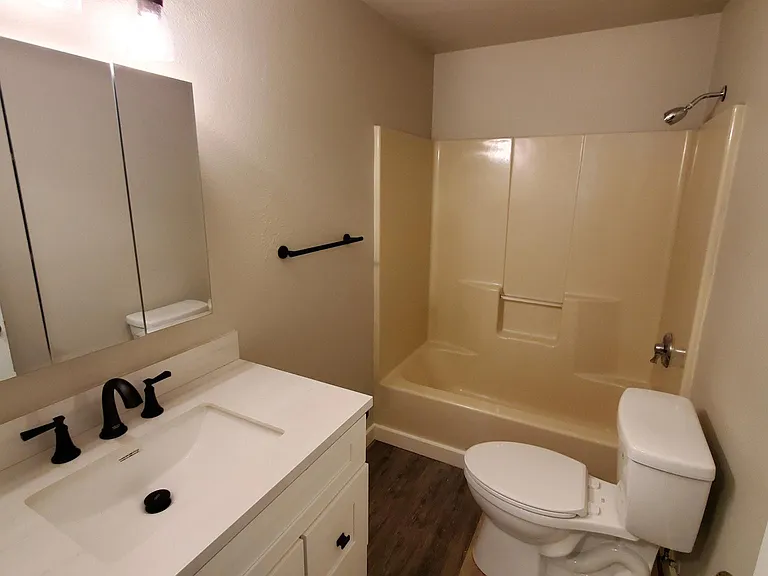 Full hall bathroom